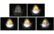  Hitachi ,  3D ,   ,   