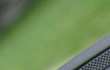  Microsoft ,  Windows Phone ,   ,  developer ,  Android ,  Apple 