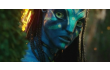  Panasonic ,  3D ,  Avatar ,   