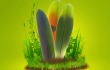  Google ,  YouTube ,  Green Parrot Pictures 