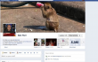  Facebook ,  Timeline 