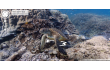  Google Maps ,  Street View 