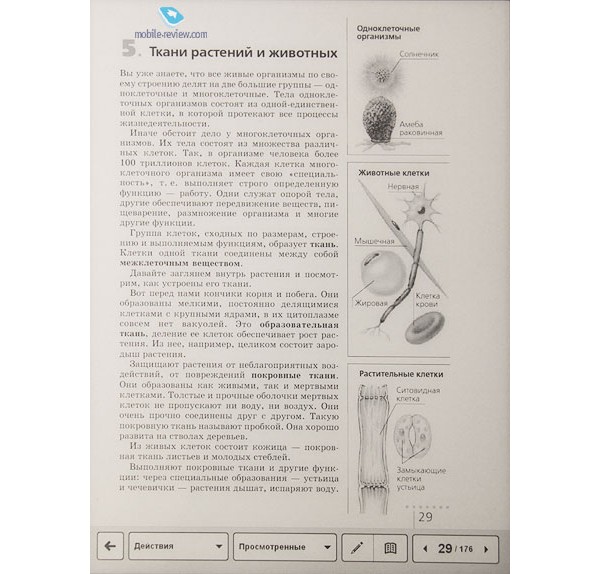 Plastic Logic 100, Rusnano, e-readers, ,  ,  