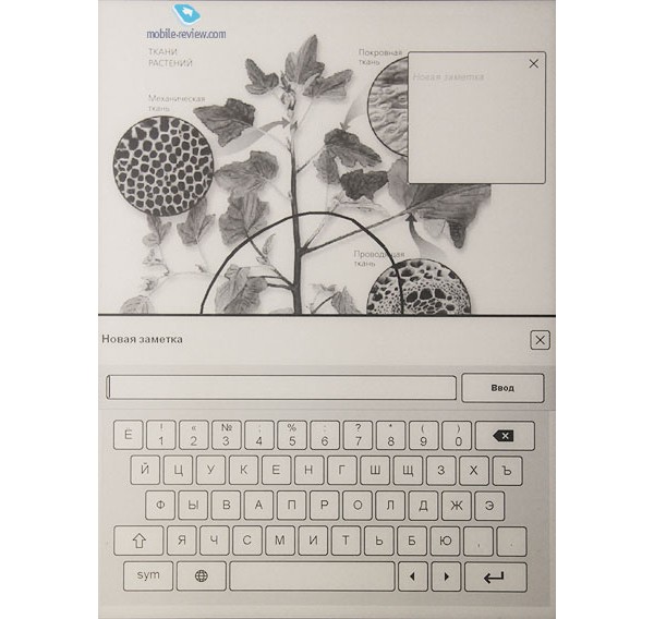 Plastic Logic 100, Rusnano, e-readers, ,  ,  