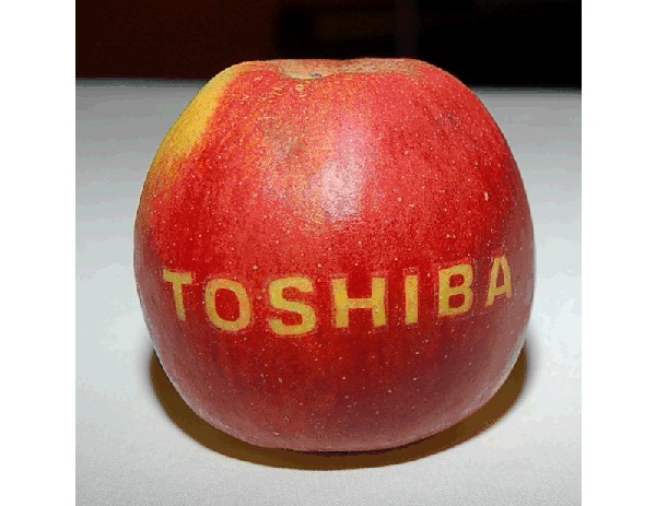 Apple, Toshiba, Amoled, Samsung, iphone