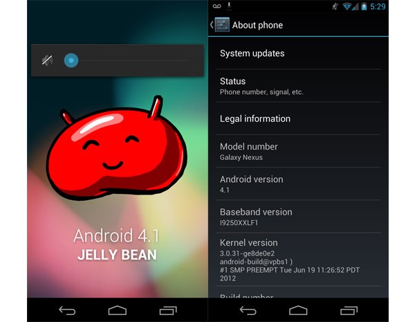 Galaxy Nexus, Android, Jelly Bean