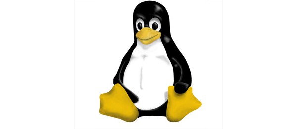    Linux 3.0