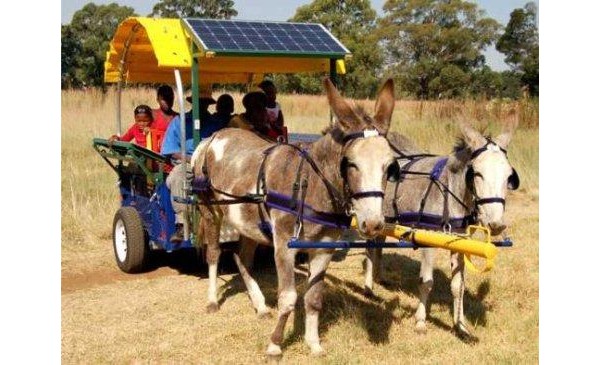 africa, gadget, donkey, power, solar, cell phone