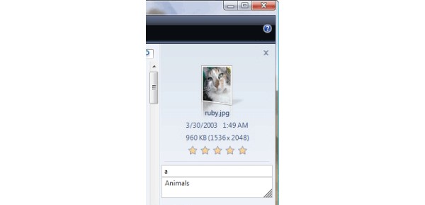Tagged and rated picture in Windows Photo Gallery