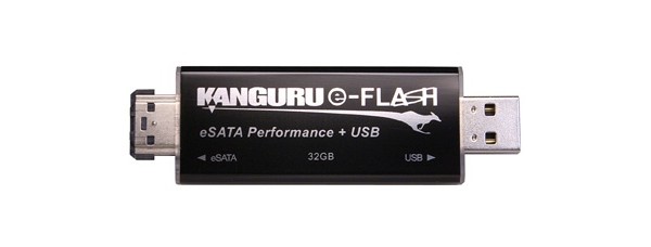 Kanguru, flash, USB, eSATA, 