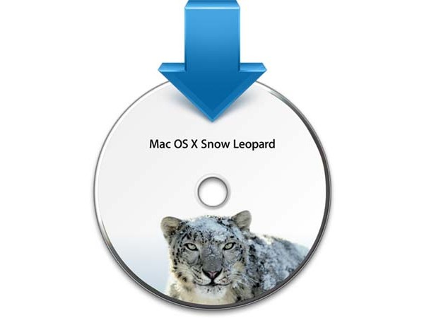 Snow Leopard