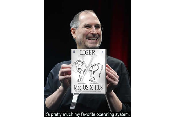 Apple, Snow Leopard, Mac OS X