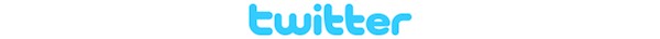 Twitter Logo