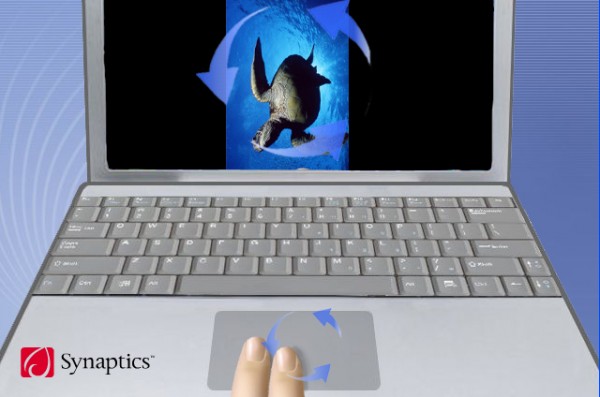 Synaptics, iPhone, multi-touch, 
