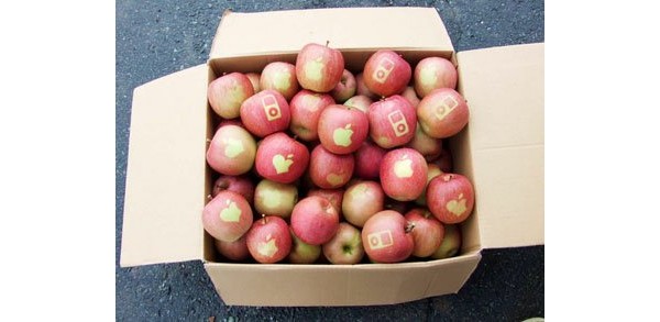 Яблоки с логотипом Apple