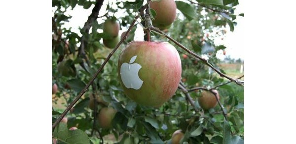 Яблоко с логотипом Apple