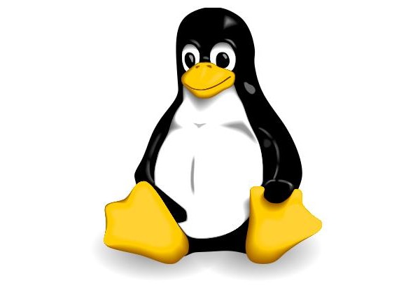 linux, unix, linus, torvalds, 19 years