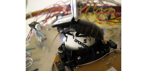 Garnet Hertz Cockroach Controlled Mobile Robot