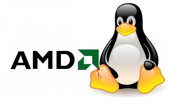 AMD, Linux