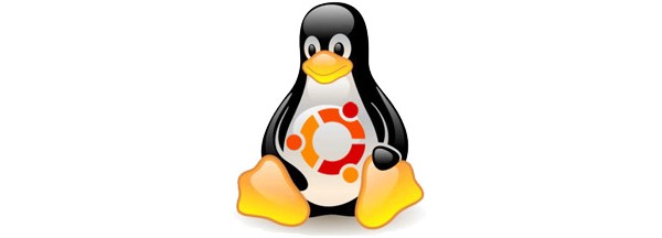 Linux Ubuntu Distro, Pentium III, Sony Vaio