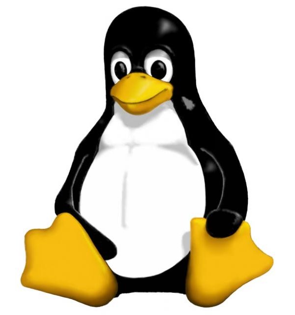 22     Linux